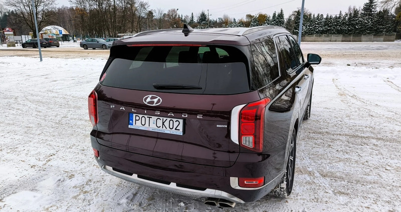 Hyundai Palisade cena 248000 przebieg: 2381, rok produkcji 2021 z Ostrzeszów małe 631